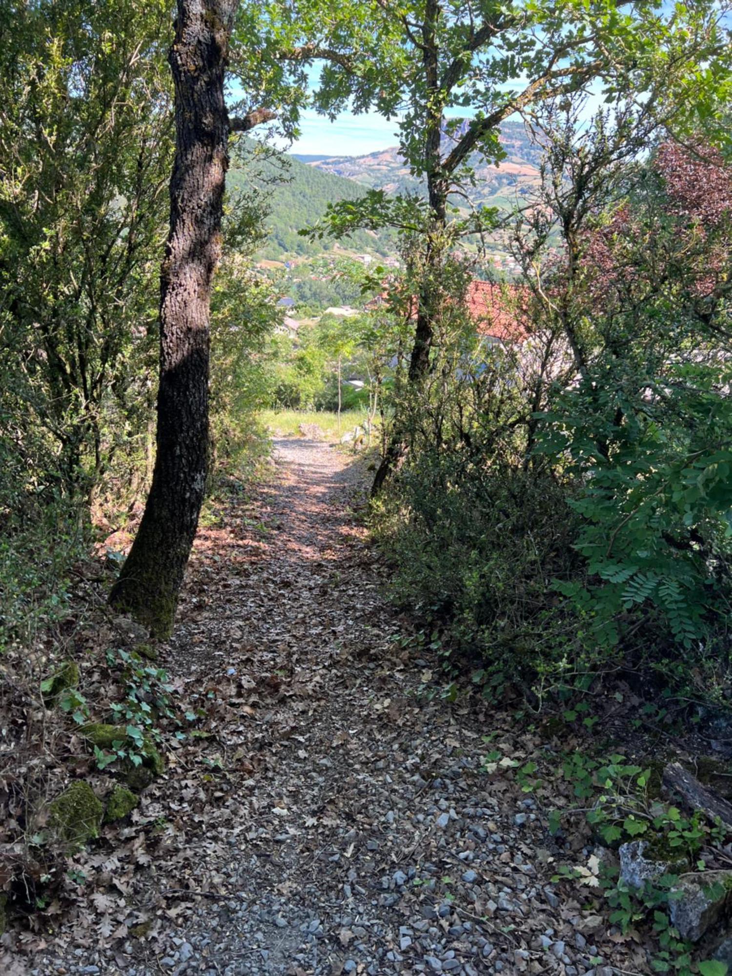 Gîte La Cerise Qui Rit La Cresse Exterior foto