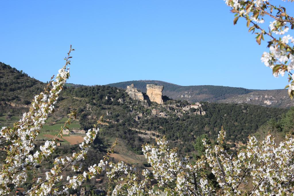 Gîte La Cerise Qui Rit La Cresse Exterior foto