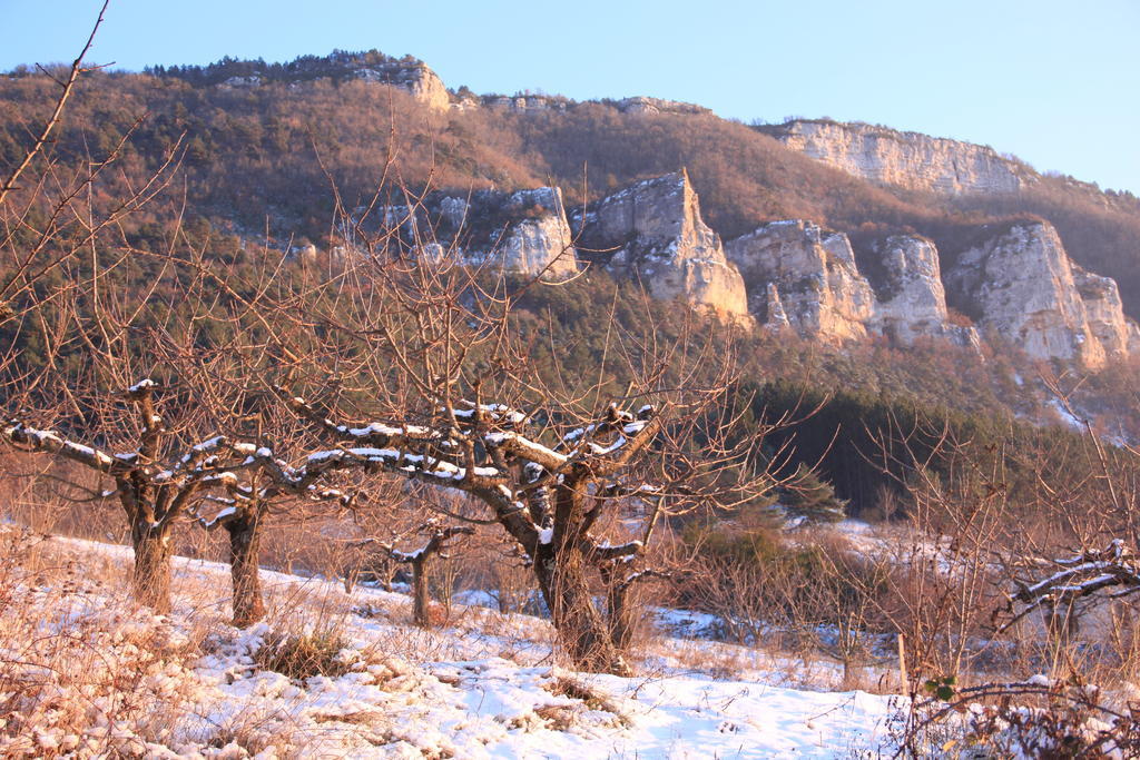 Gîte La Cerise Qui Rit La Cresse Cameră foto